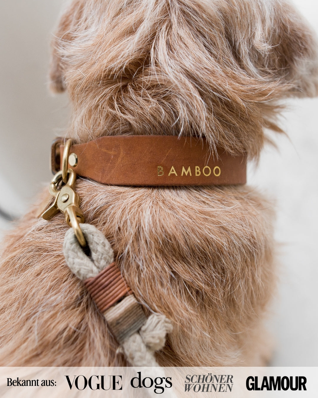 Personalisierbares Lederhalsband mit Name | Cognac