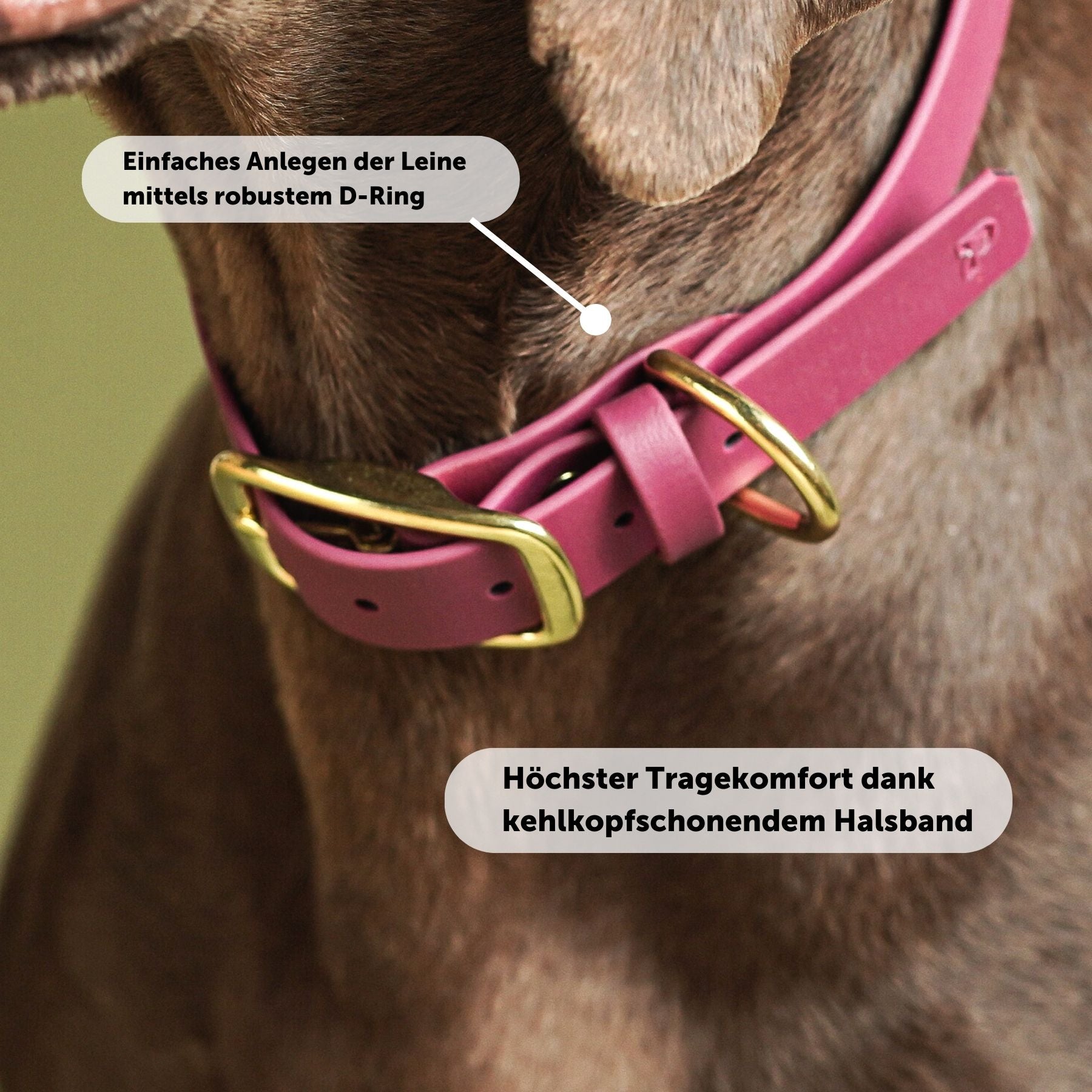 Biothane® Halsband 'Magenta'