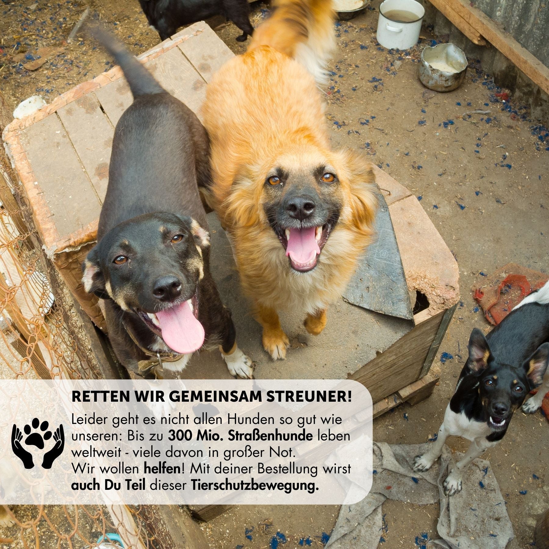 B:Ware | Tauleine 'Berlin'