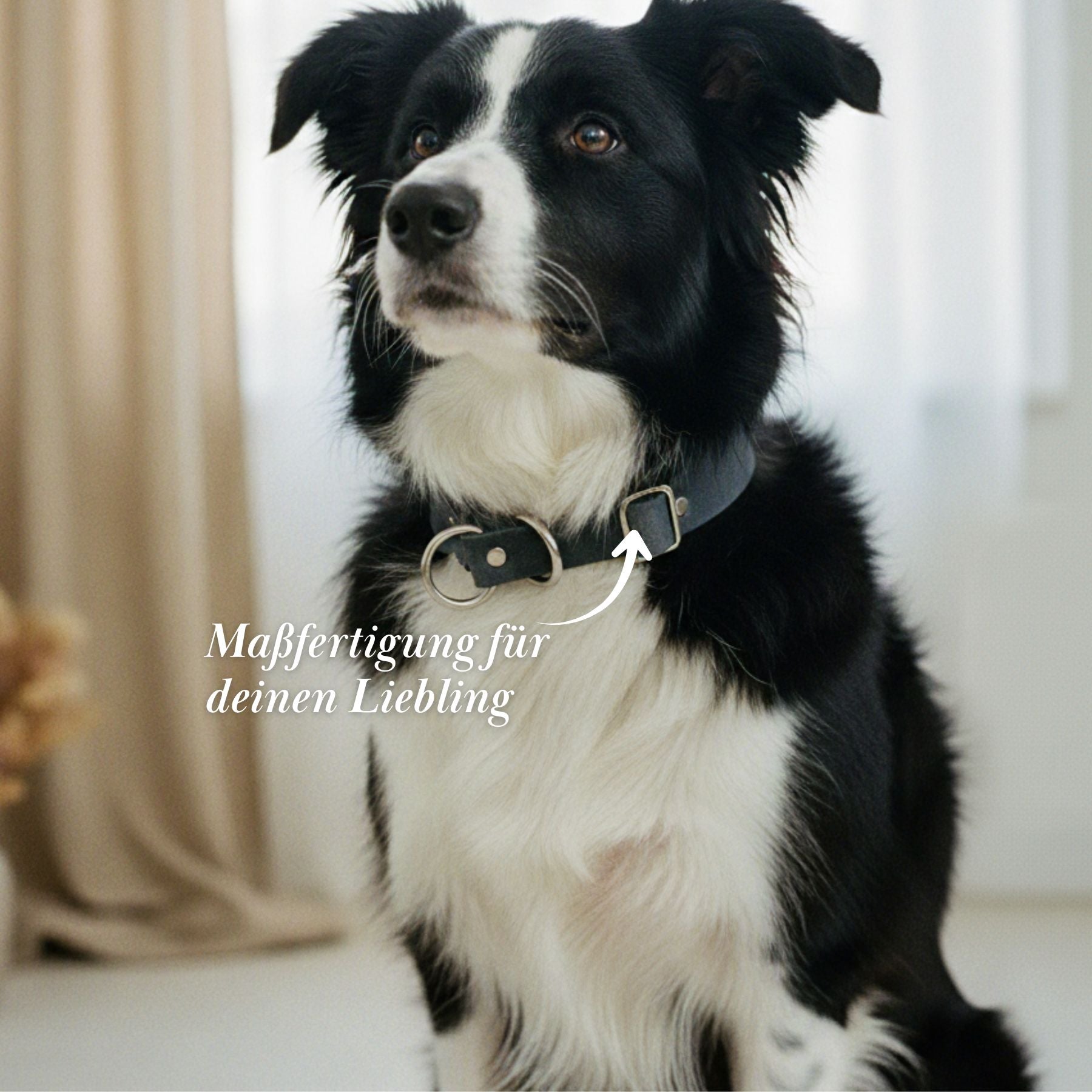 Zugstopp-Halsband aus Fettleder 'Steingrau'