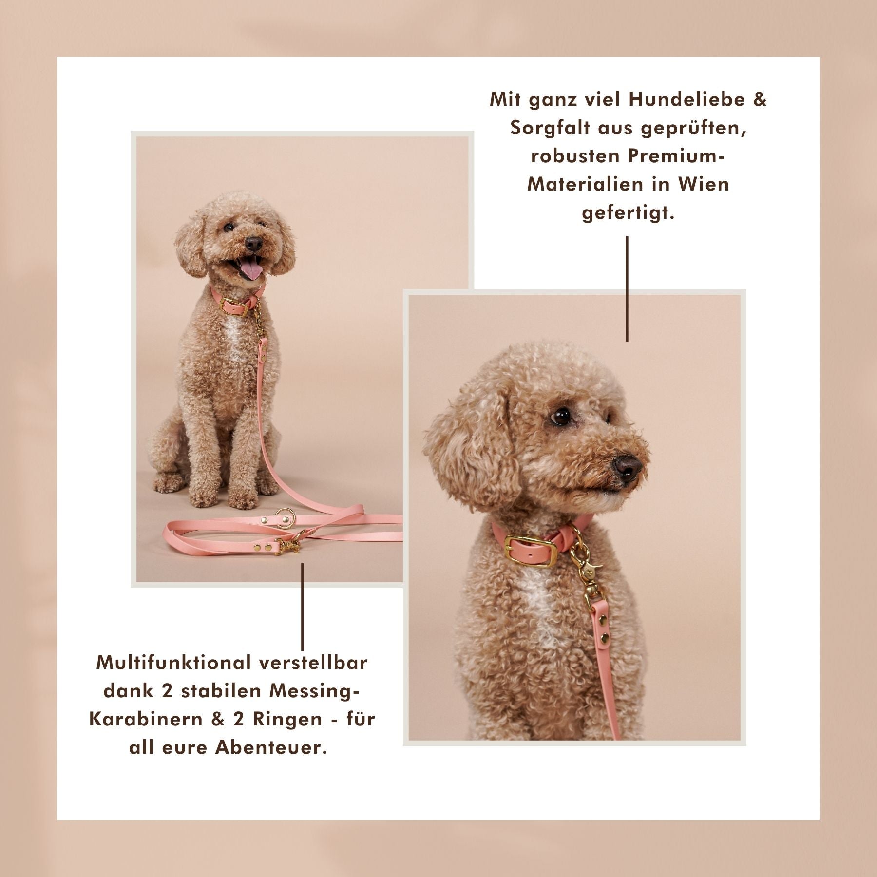 B:Ware | Hundeleine aus Biothane® 'Rosegold'