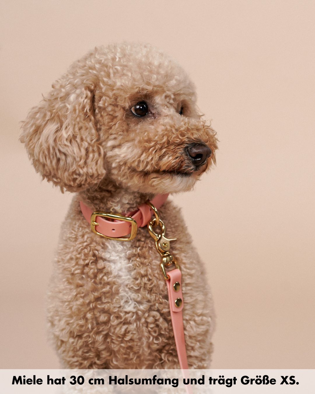 B:Ware | Biothane® Halsband 'Rosegold'