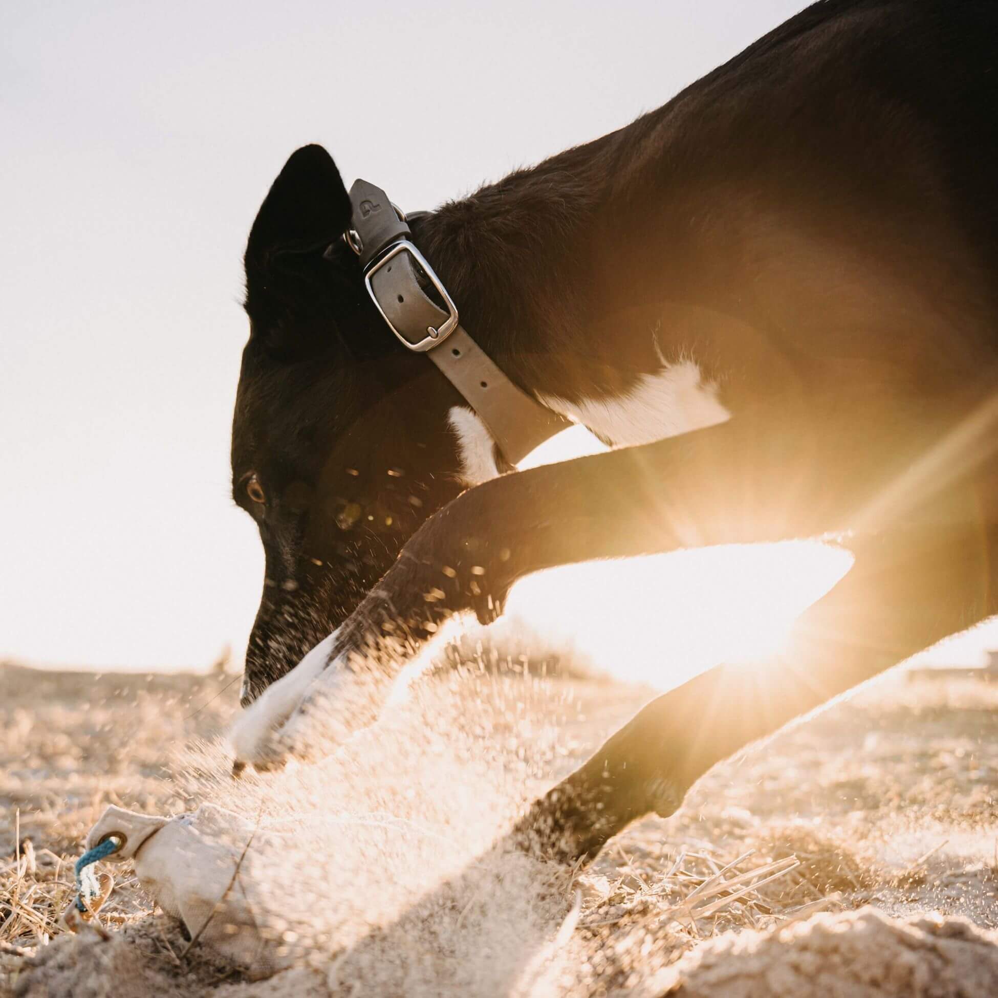 Schmales Lederhalsband in Steingrau