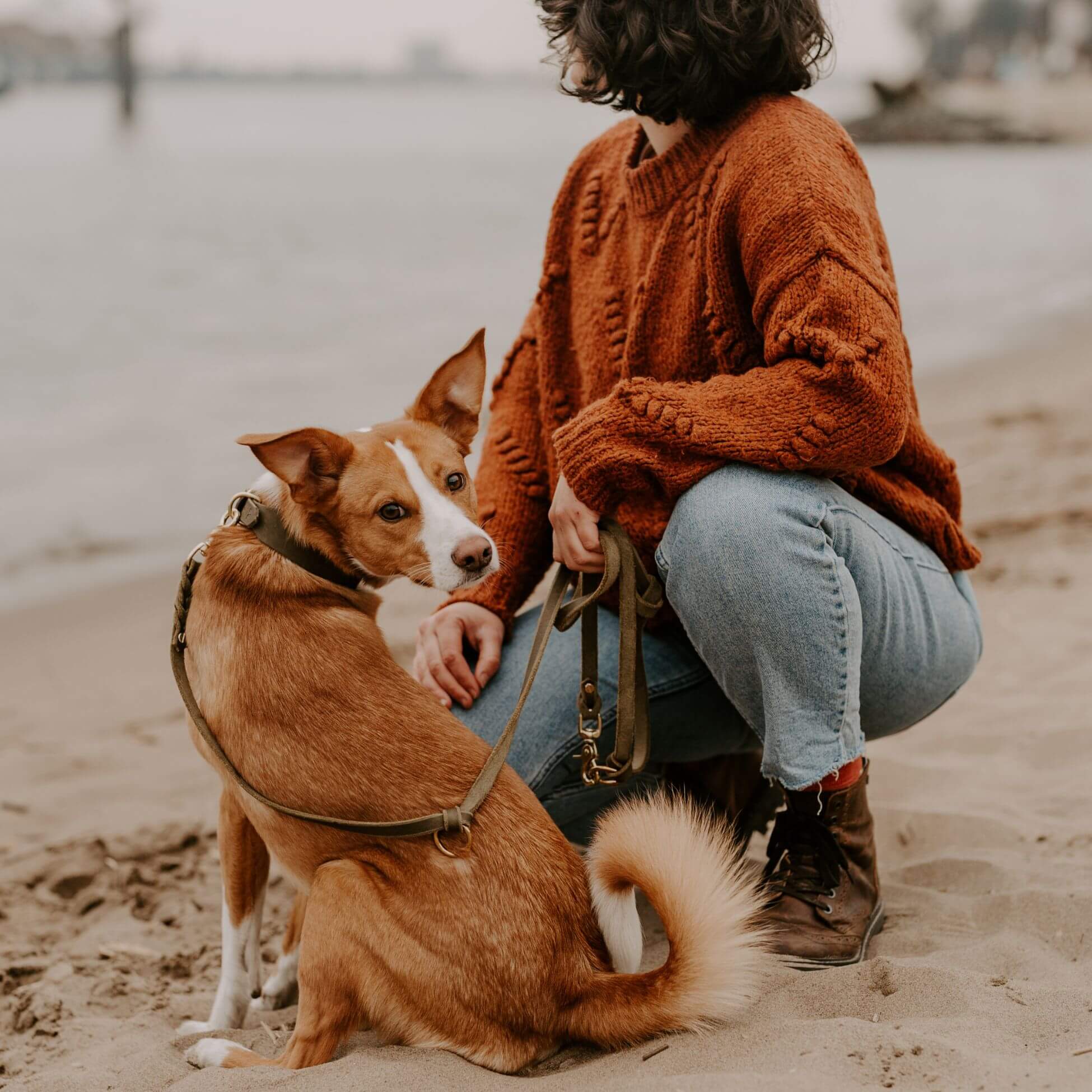 Lederleine 'Bjarki' in Olive