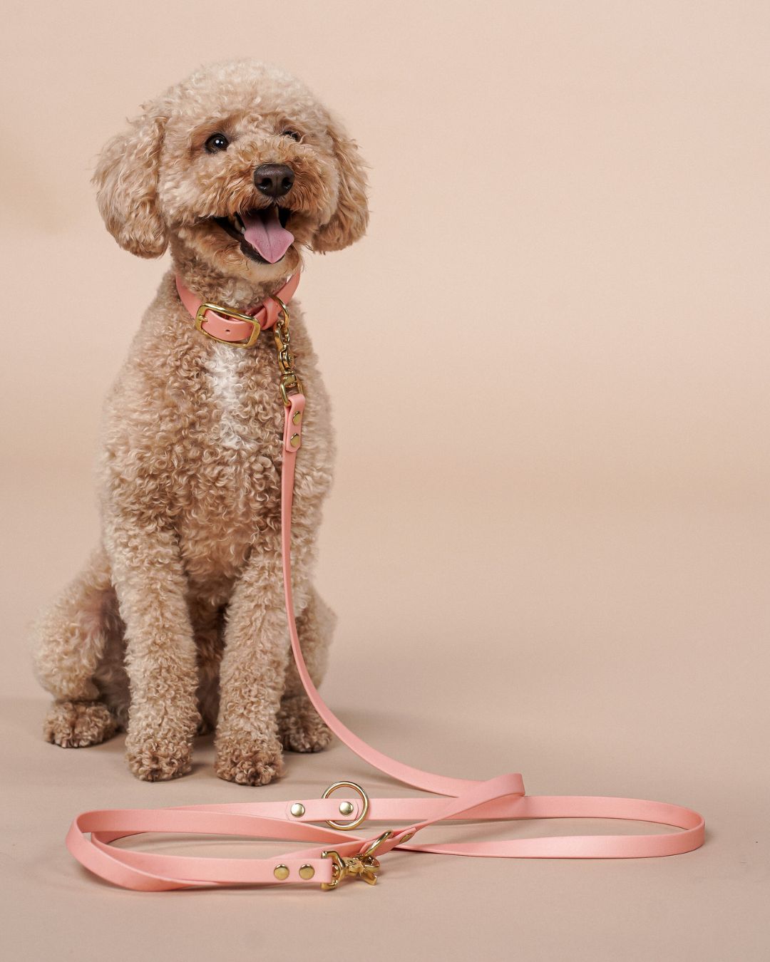 Hundeleine aus Biothane® 'Rosegold'
