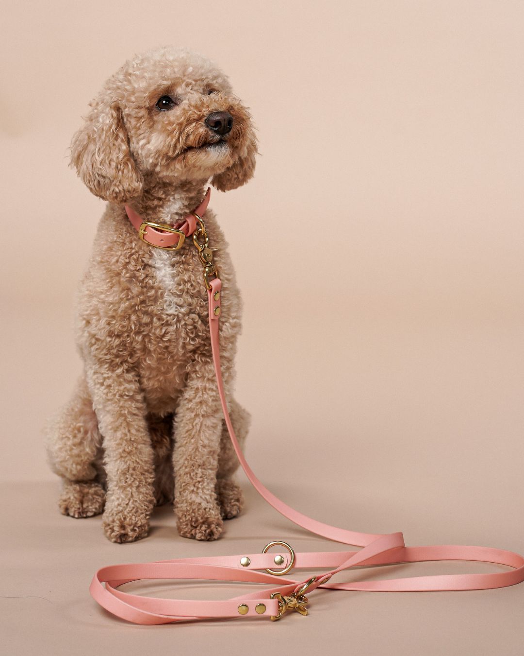 Hundeleine aus Biothane® 'Rosegold'