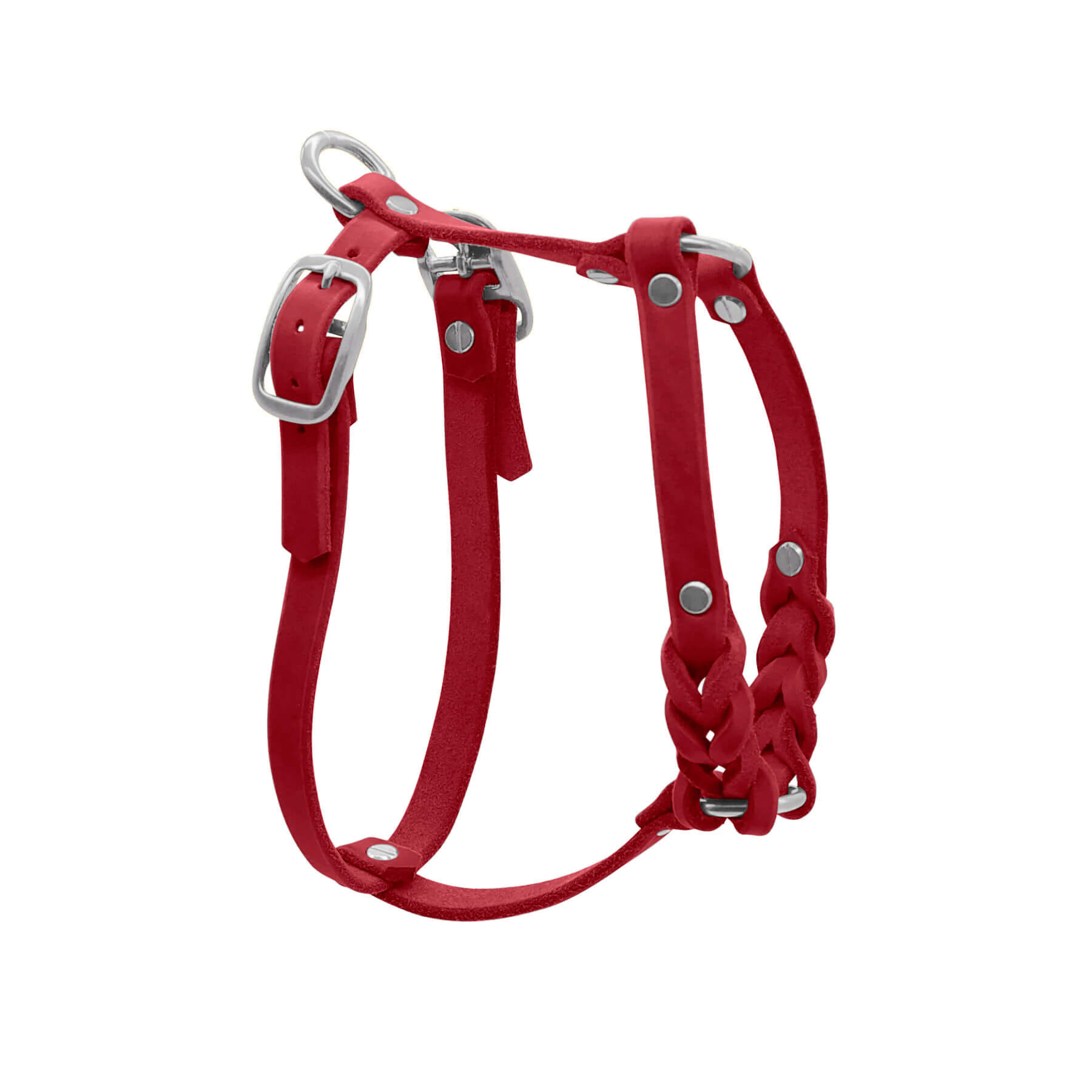 Hundegeschirr 'Bjarki' in Chili