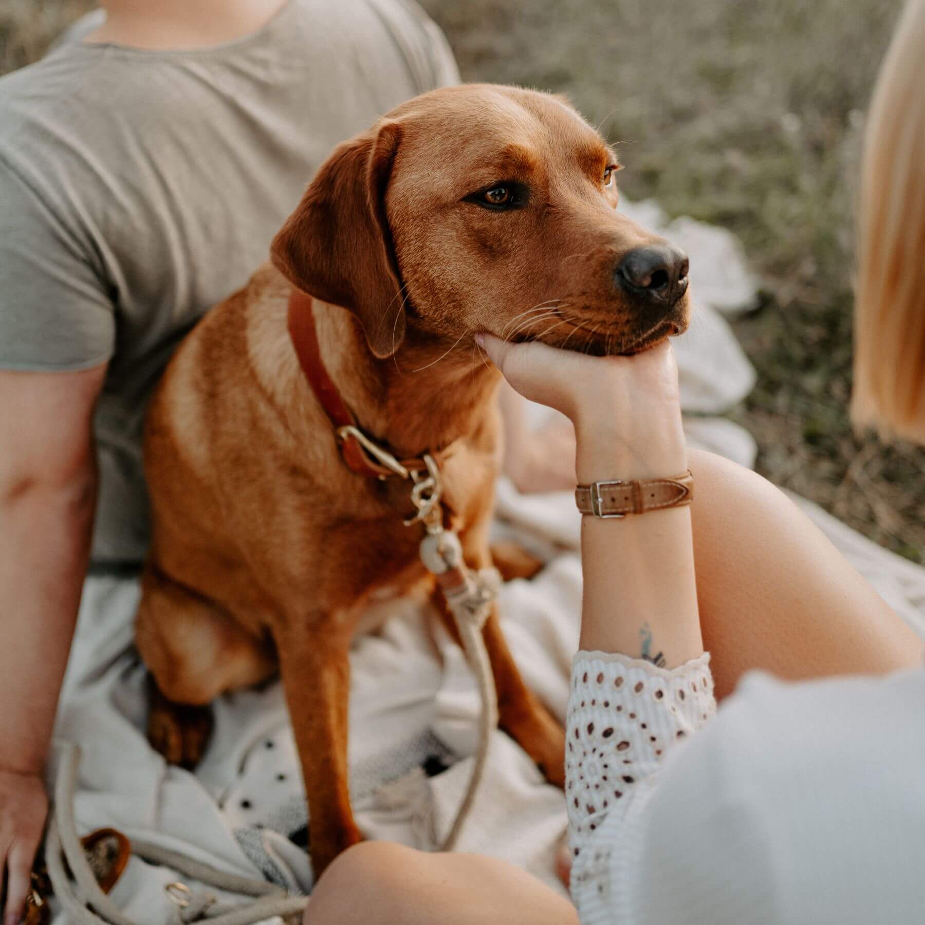 Personalisierbares Lederhalsband mit Name | Cognac