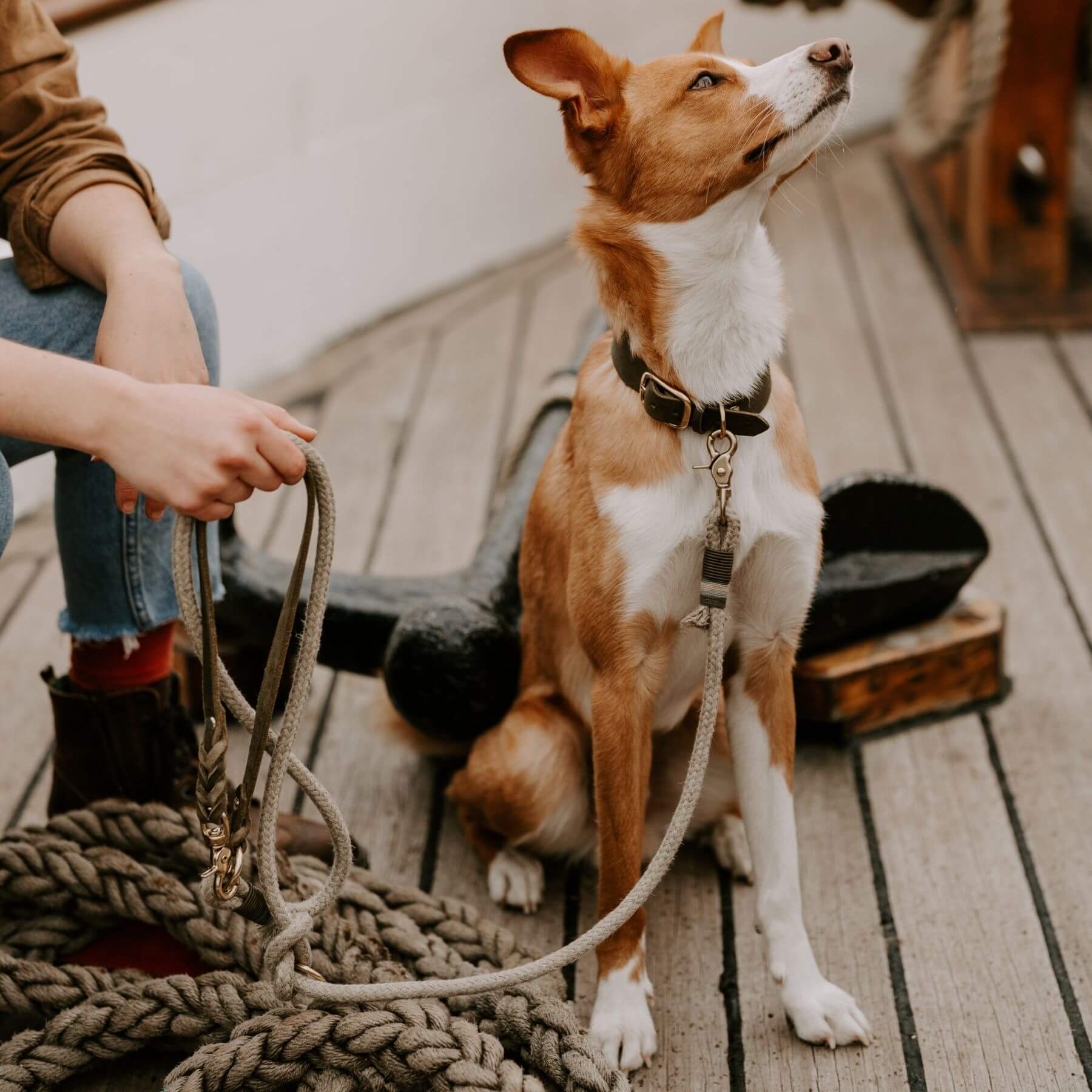 Personalisierbares Lederhalsband mit Name | Olive