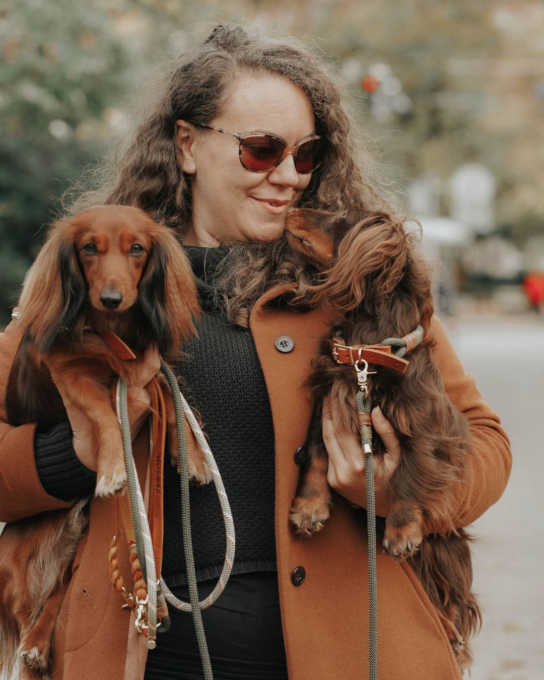 Set | Halsband & Leine 'Paris'