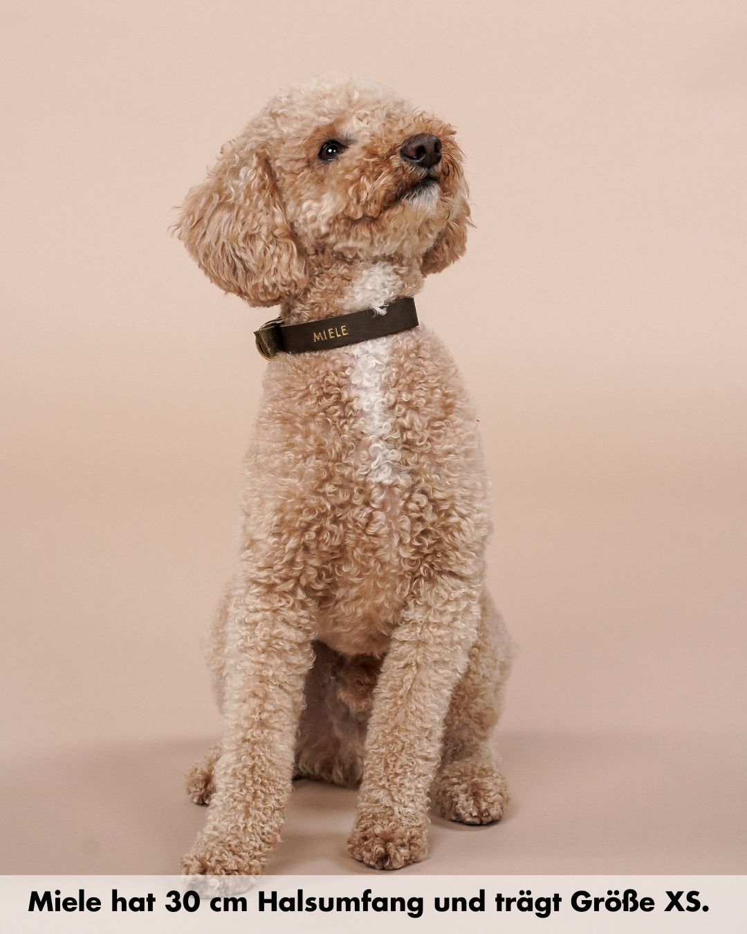 Schmales Lederhalsband in Olive