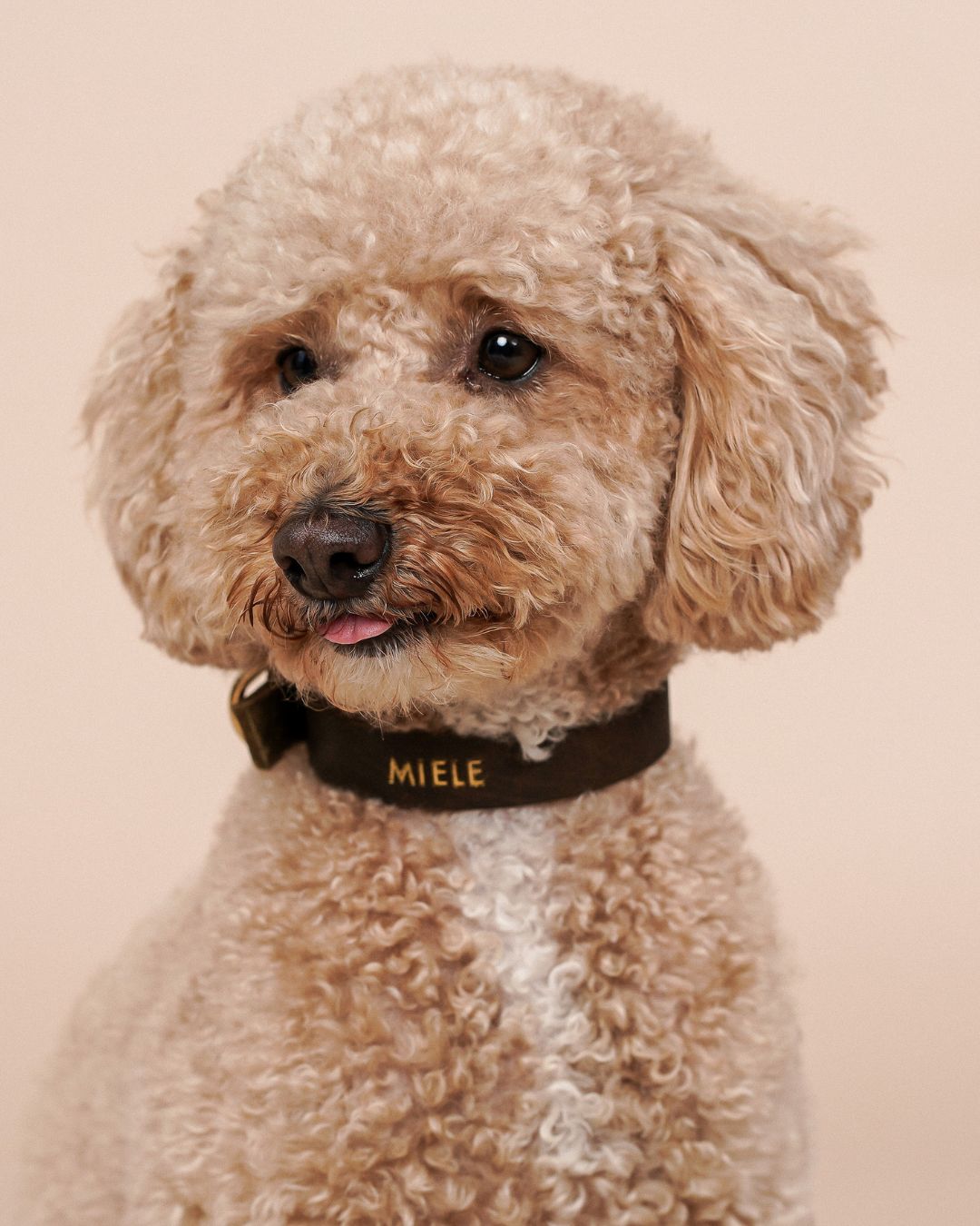 Schmales Lederhalsband in Olive