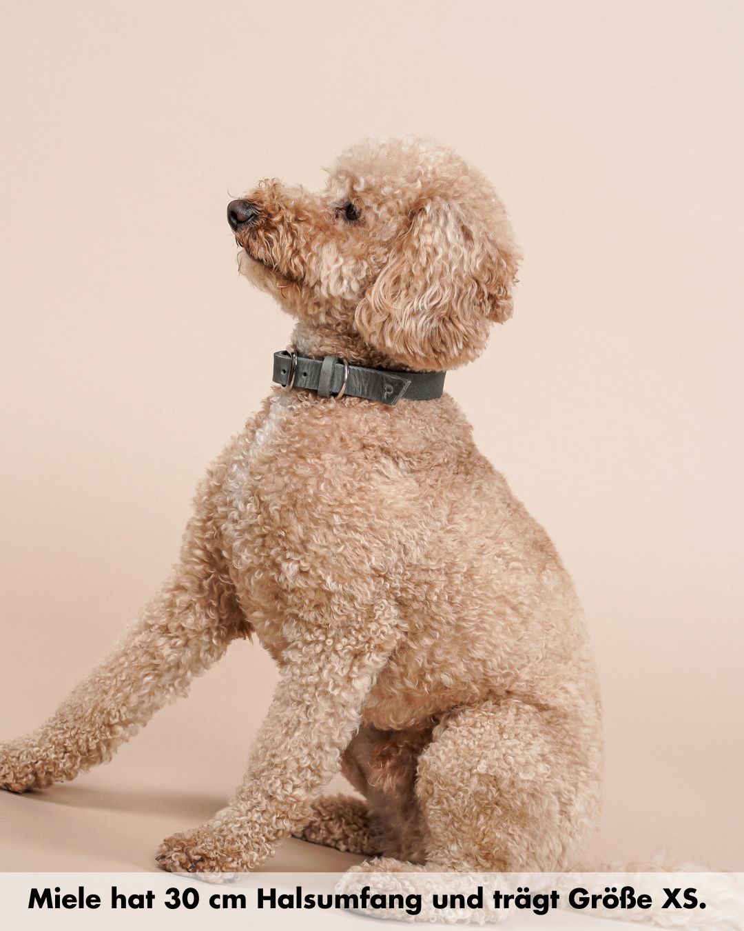 Schmales Lederhalsband in Steingrau