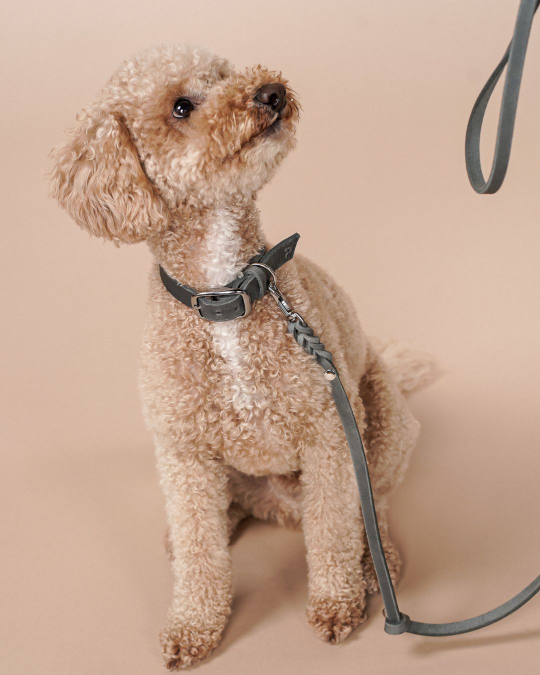 Schmales Lederhalsband in Steingrau