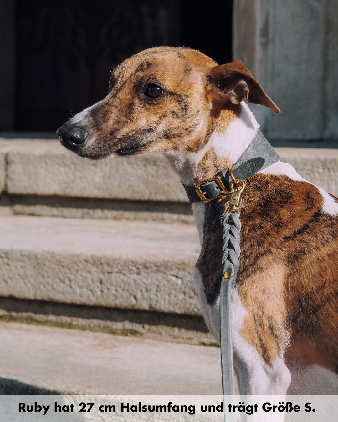 Set | Windhundhalsband (5 cm breit) & Leine aus Fettleder