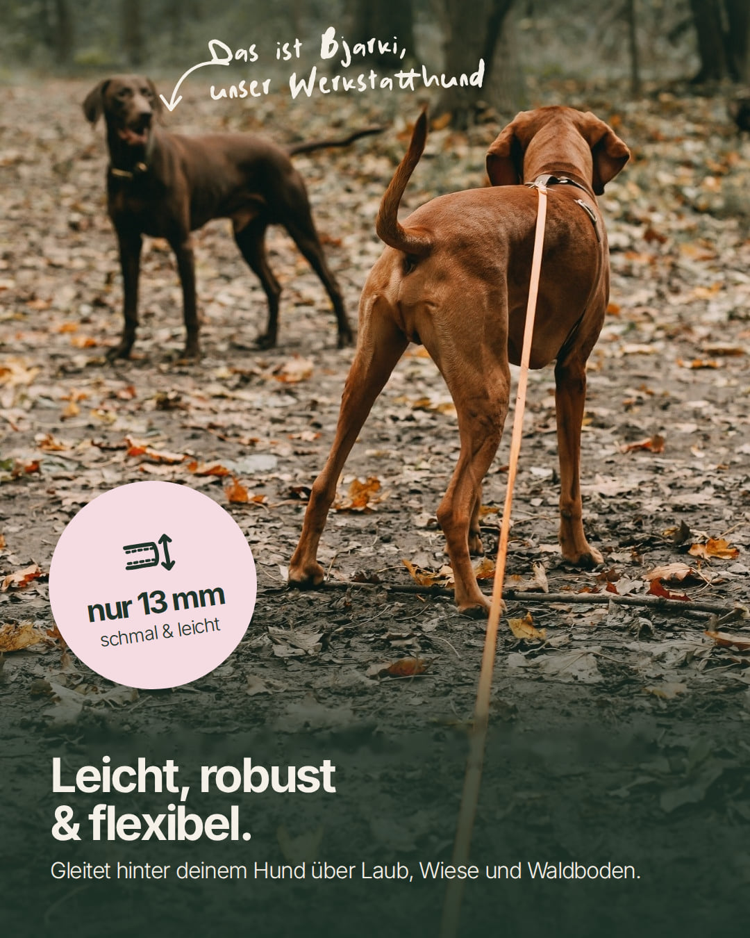 Wasserfeste Schleppleine aus Biothane