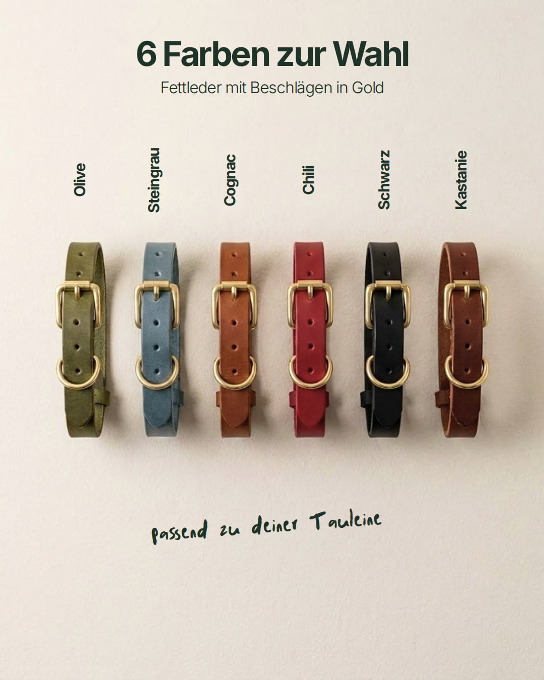 Welpen-Special: Set | Welpenhalsband & Tauleine inkl. 25% Gutschein