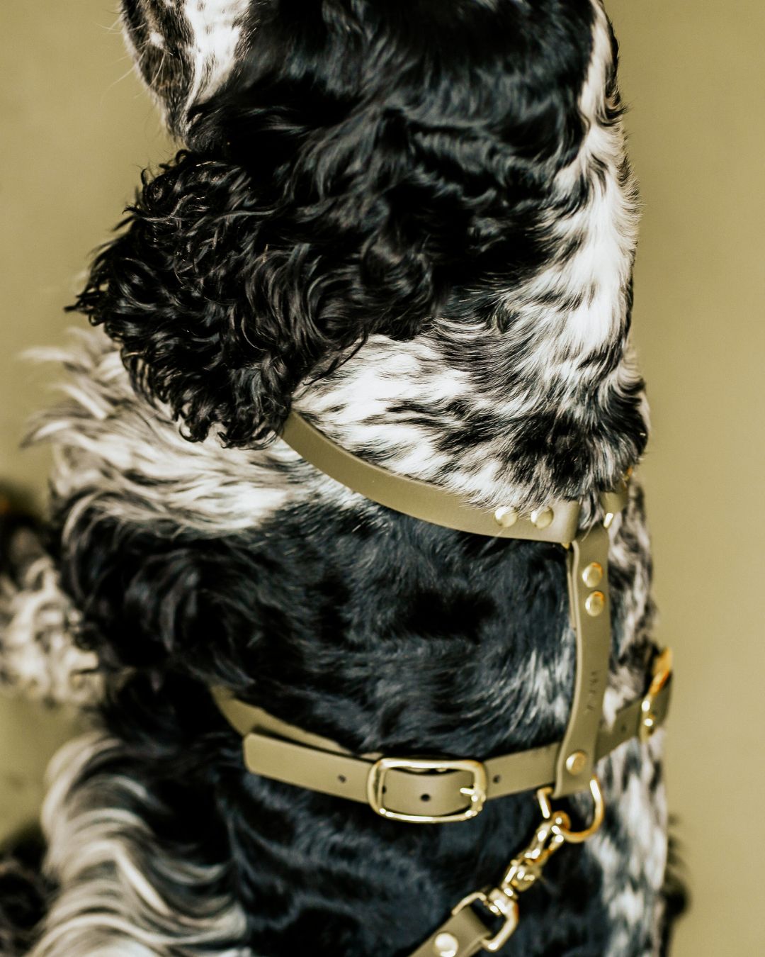Hundegeschirr aus Biothane 'Mika' | Khaki