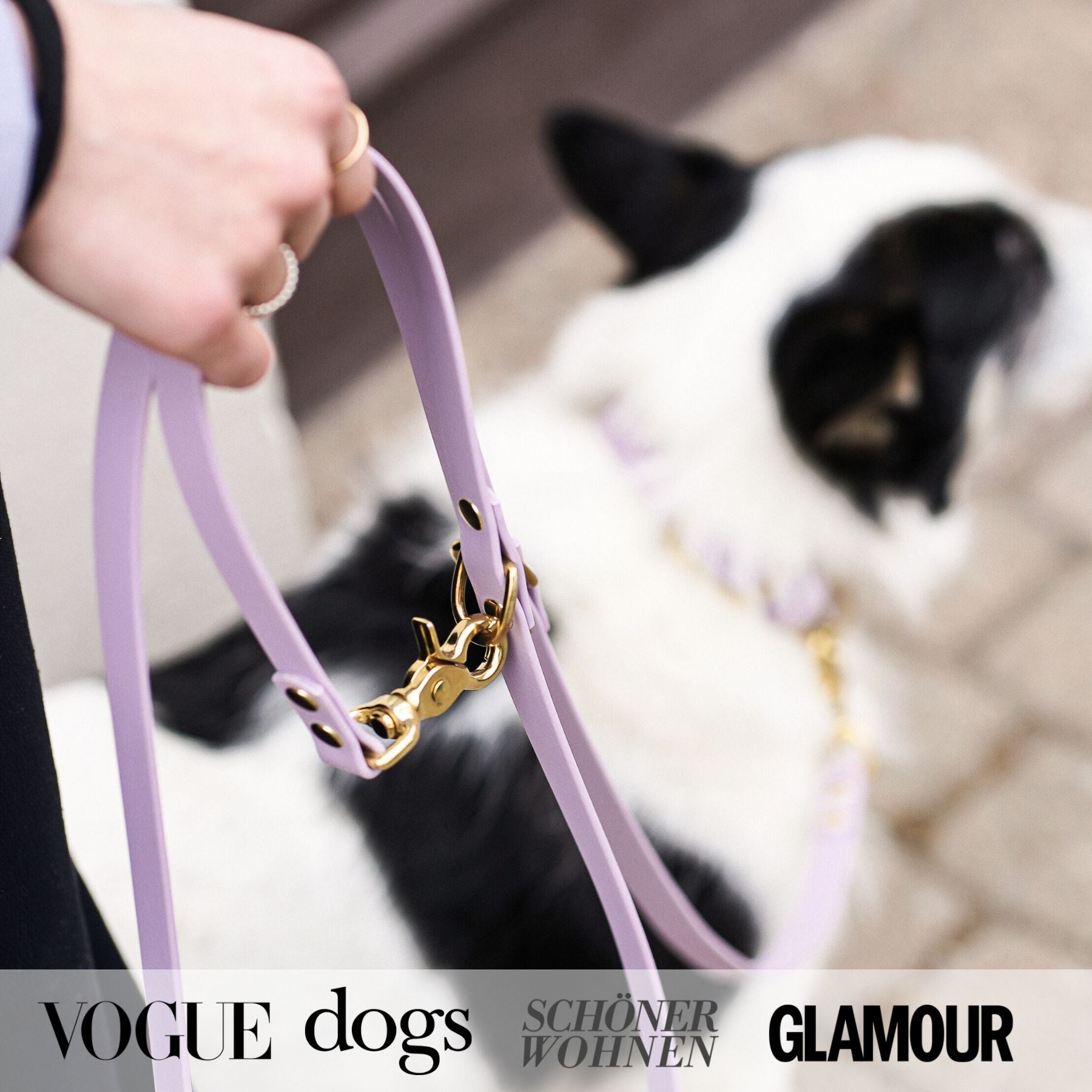 Hundeleine aus Biothane® 'Lavendel'