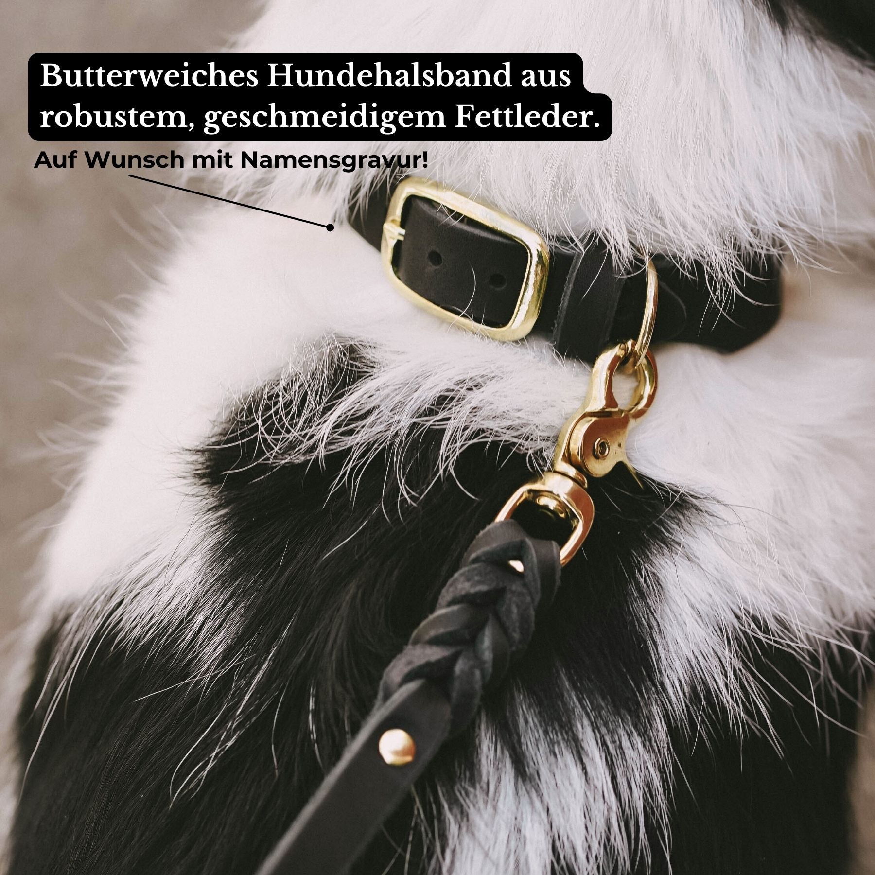 Set | Lederhalsband & Leine in Schwarz