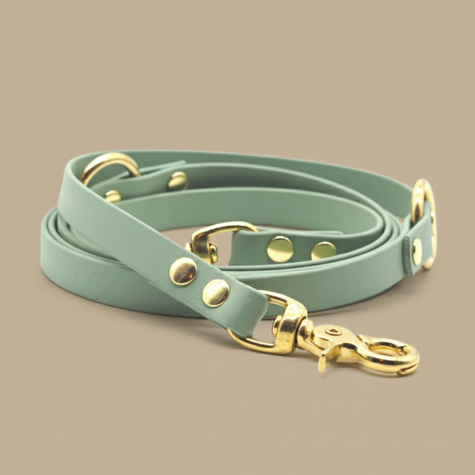 B:Ware | Hundeleine aus Biothane® 'Salbei'