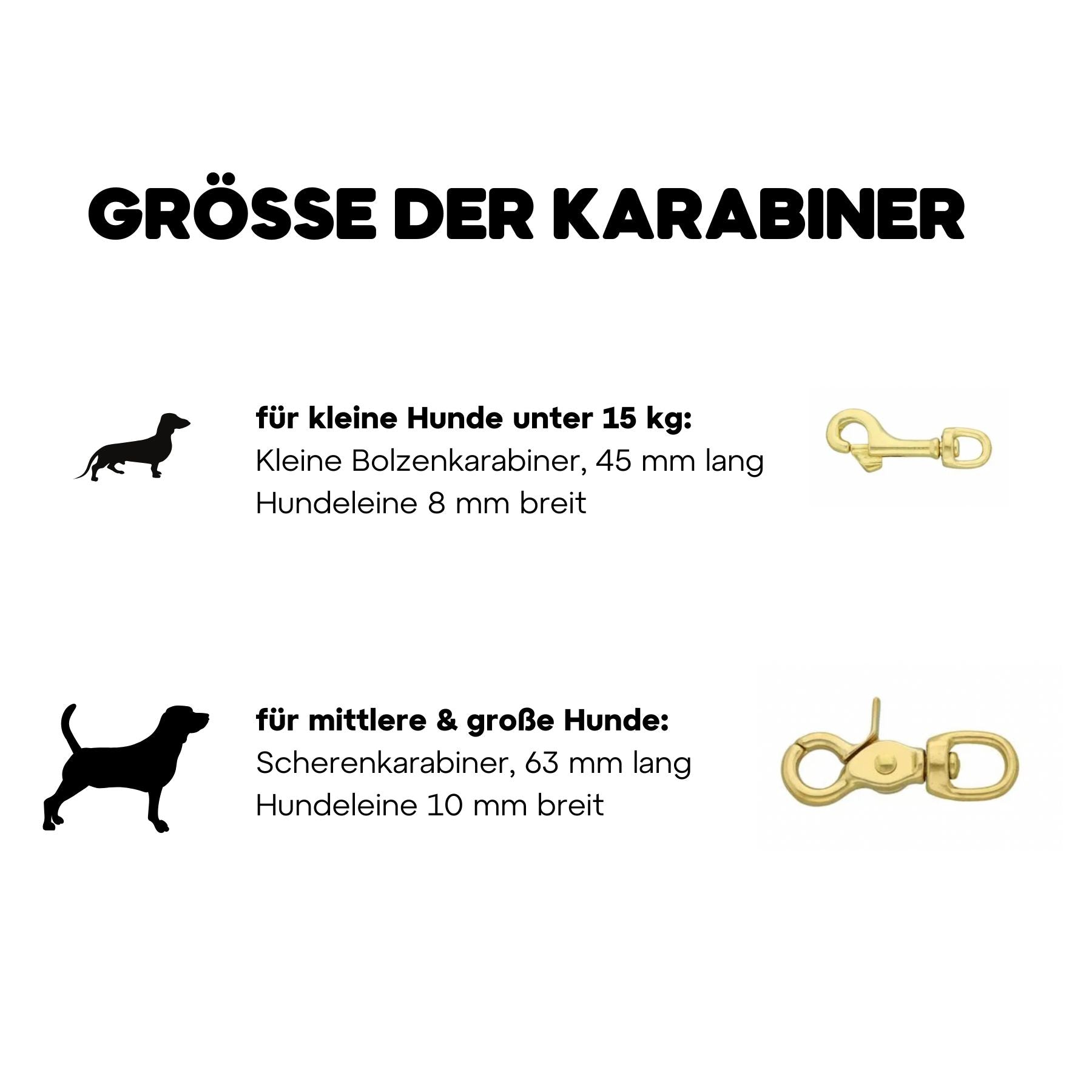 Essentials Walk Bundle | Lederhalsband + Tauleine Olive Grove + Hundemarke