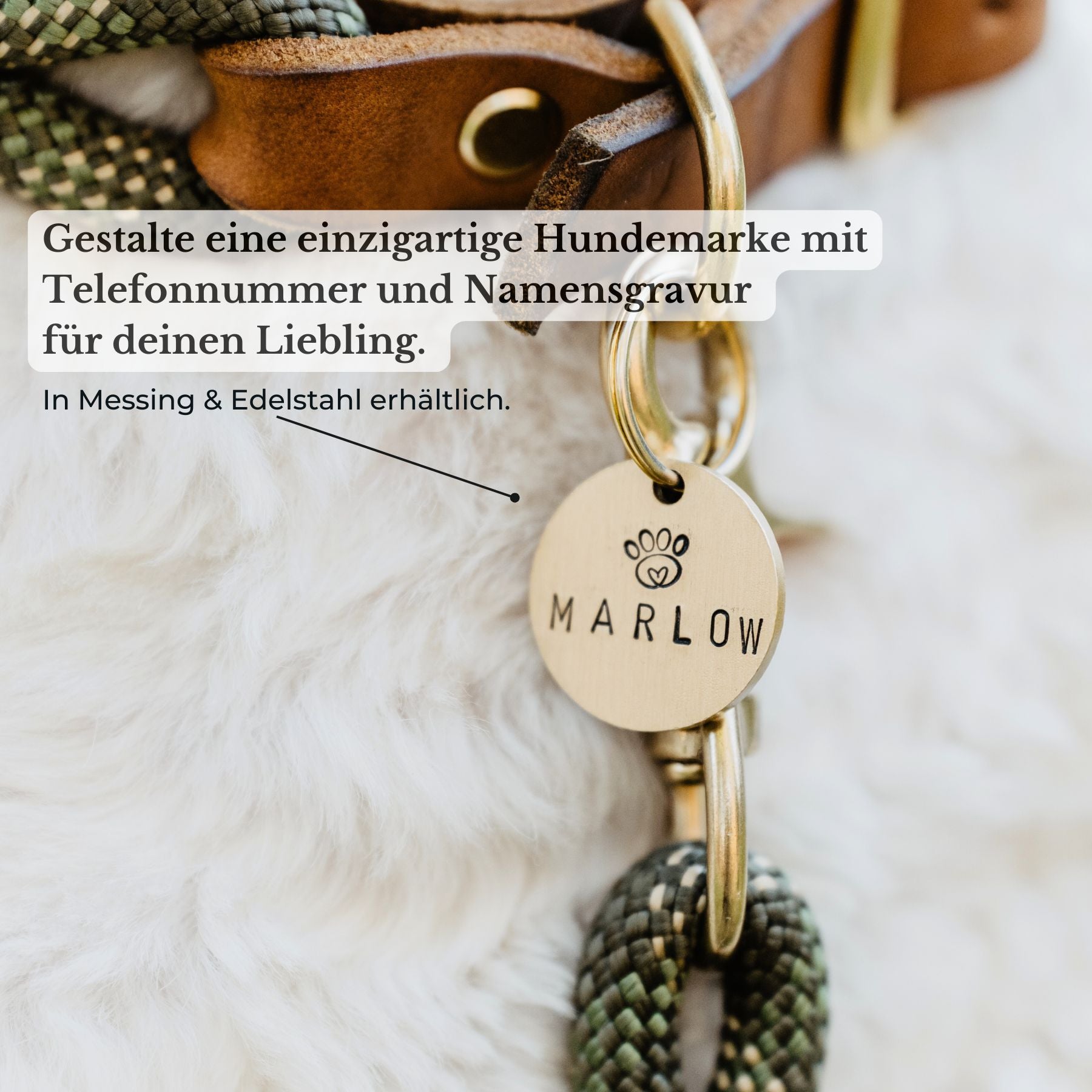 Essentials Walk Bundle | Lederhalsband + Tauleine Olive Grove + Hundemarke