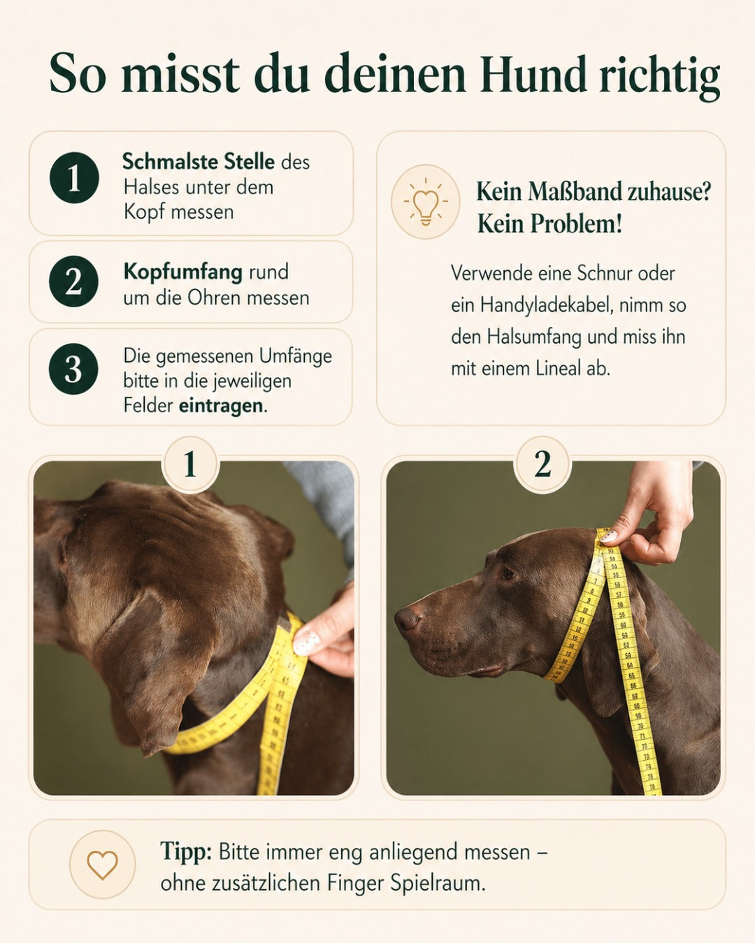 Zugstopp-Halsband aus Fettleder 'Cognac'