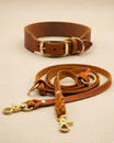 Set | Lederhalsband & Leine in Cognac