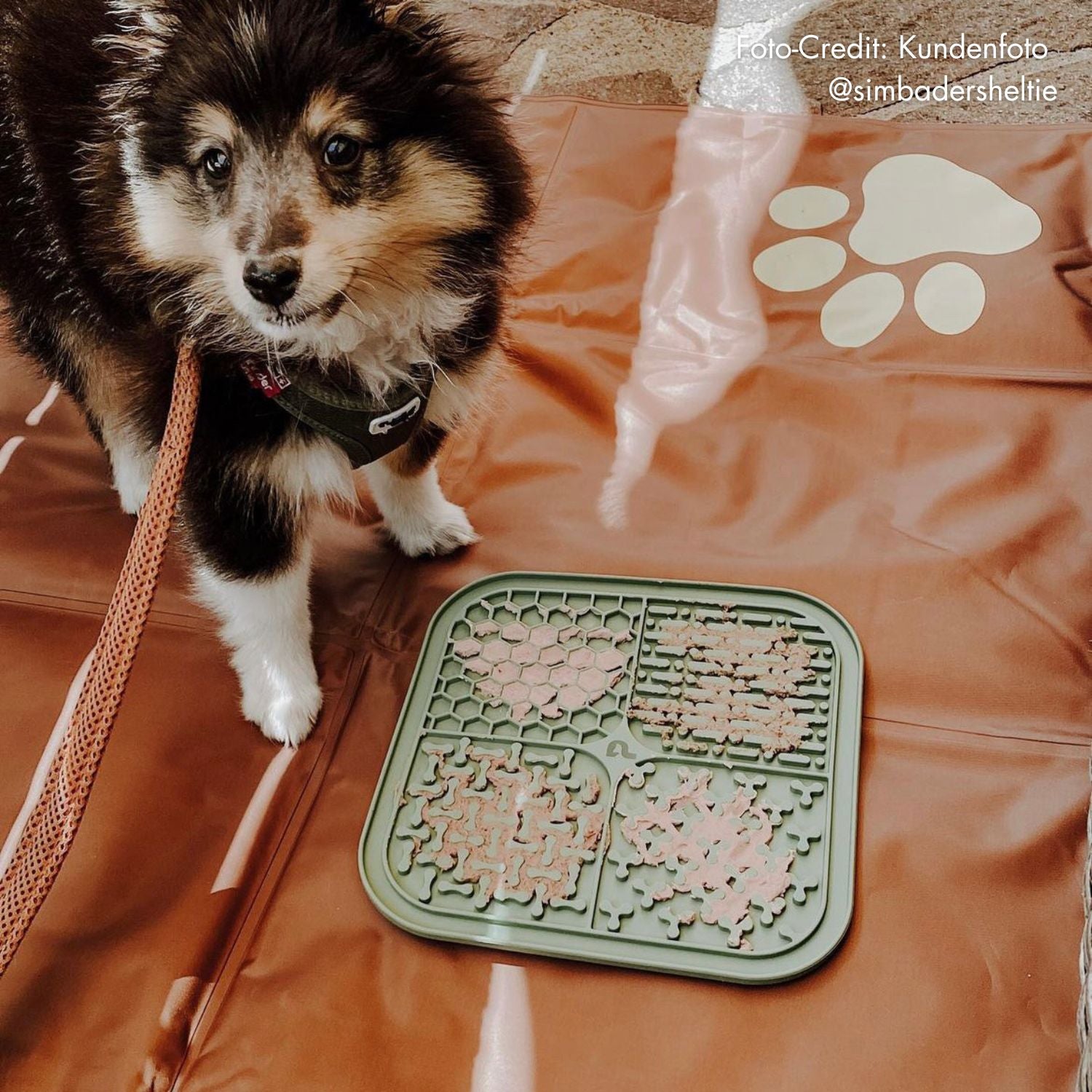 Schleckmatte für Hunde | Salbeigrün