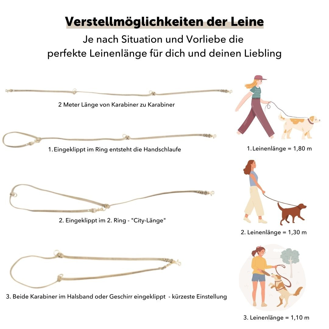 Leather Walk Bundle | Lederhalsband + Lederleine + Hundemarke