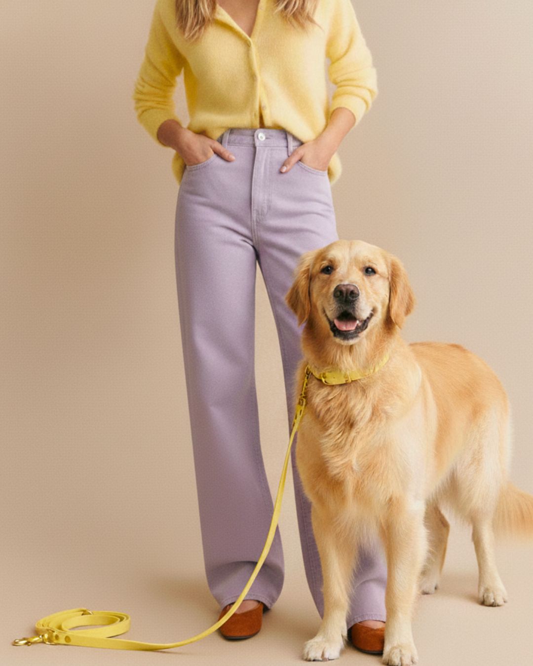 Set | Halsband & Leine aus Biothane® 'Buttercup'