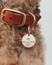 Hundemarke mit Gravur 'Gold' (Messing)