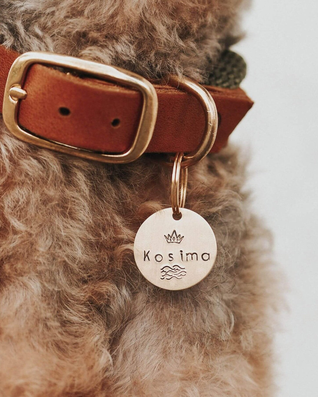 Hundemarke mit Gravur 'Gold' (Messing)