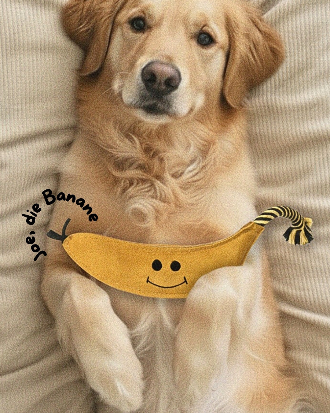 Hundespielzeug "Joe, die Banane" aus Wildleder