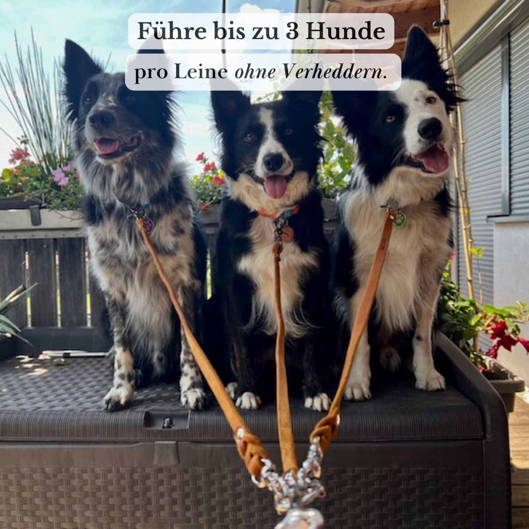 Verbindungsteil aus Leder für 2 Hunde an einer Leine (1 Stück)