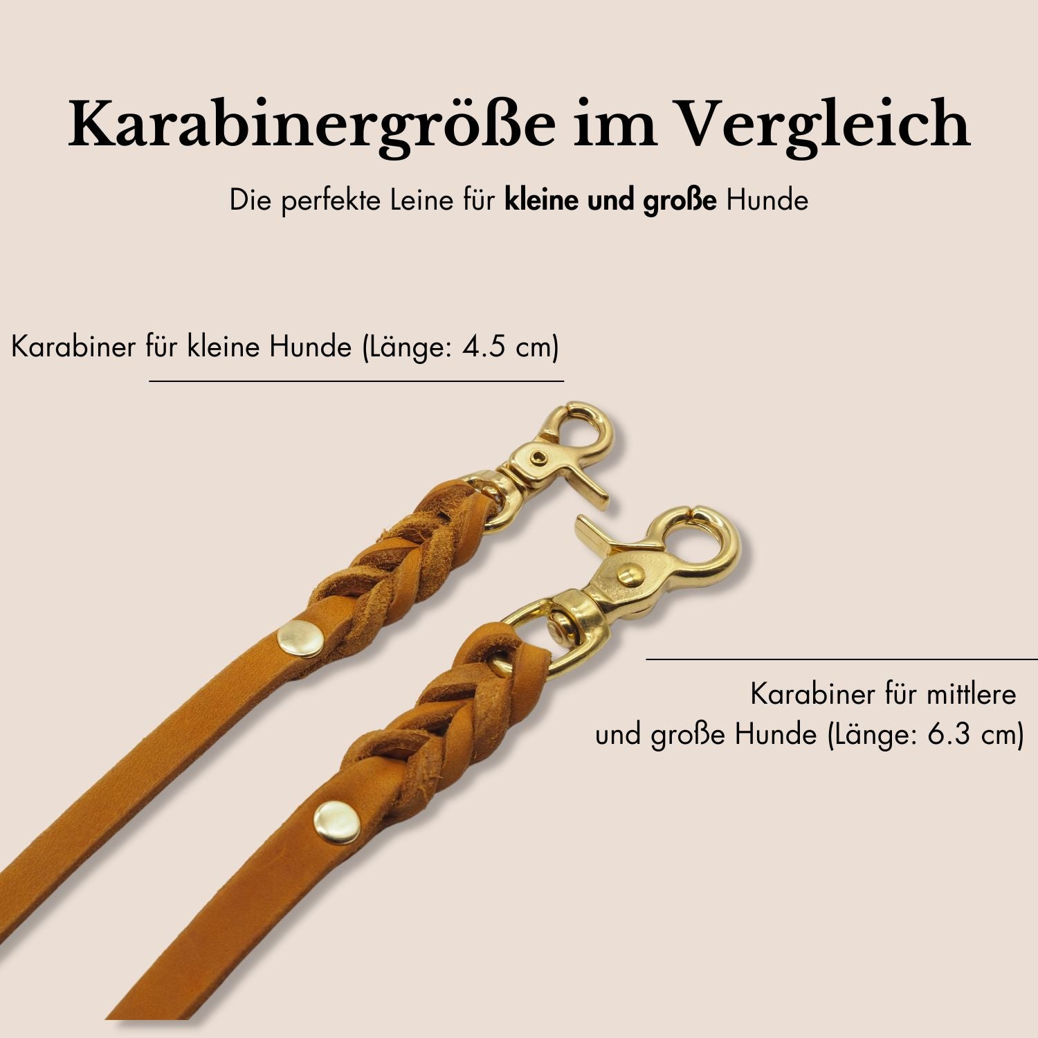 Set | Windhundhalsband (5 cm breit) & Leine aus Fettleder