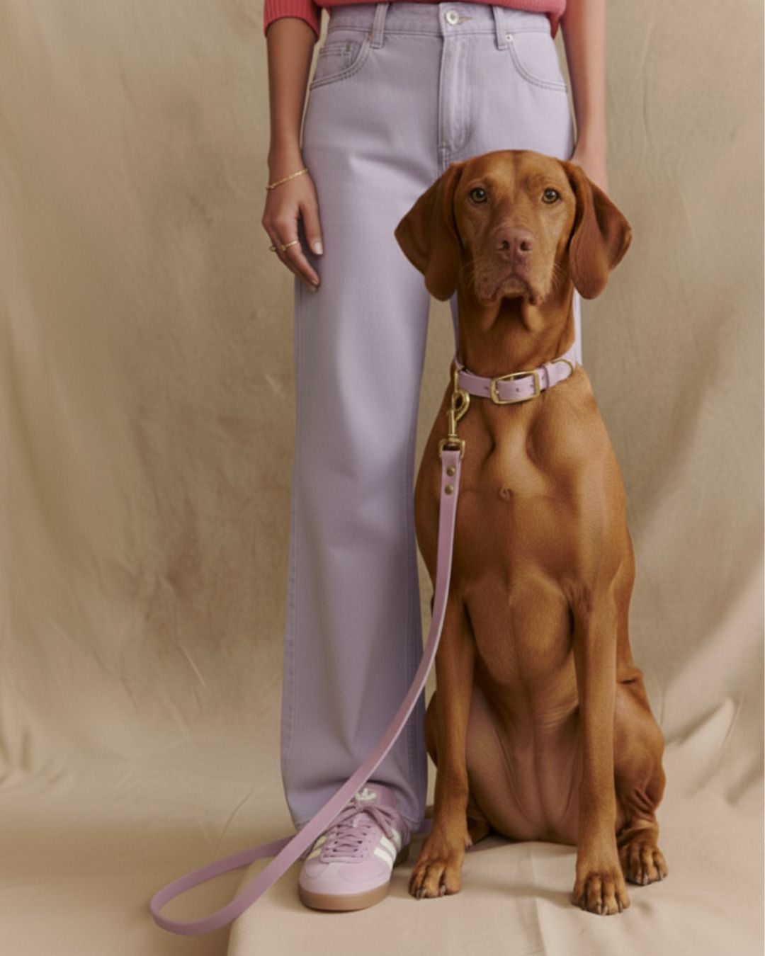 Set | Halsband & Leine aus Biothane® 'Lavendel'