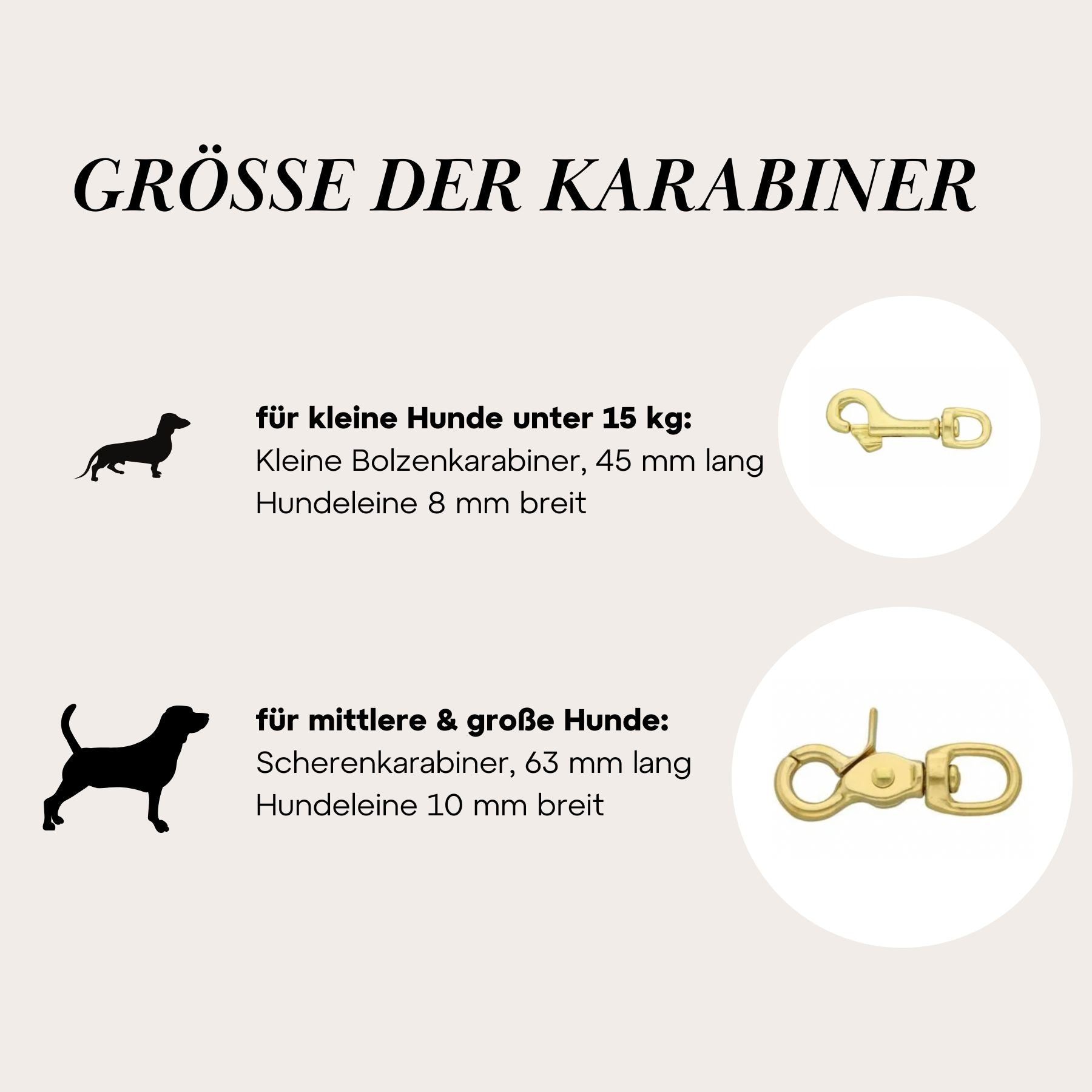 Set | Lederhalsband & Leine in Schwarz