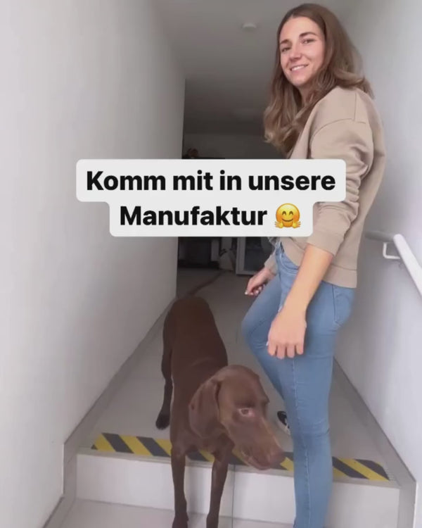 Video 2