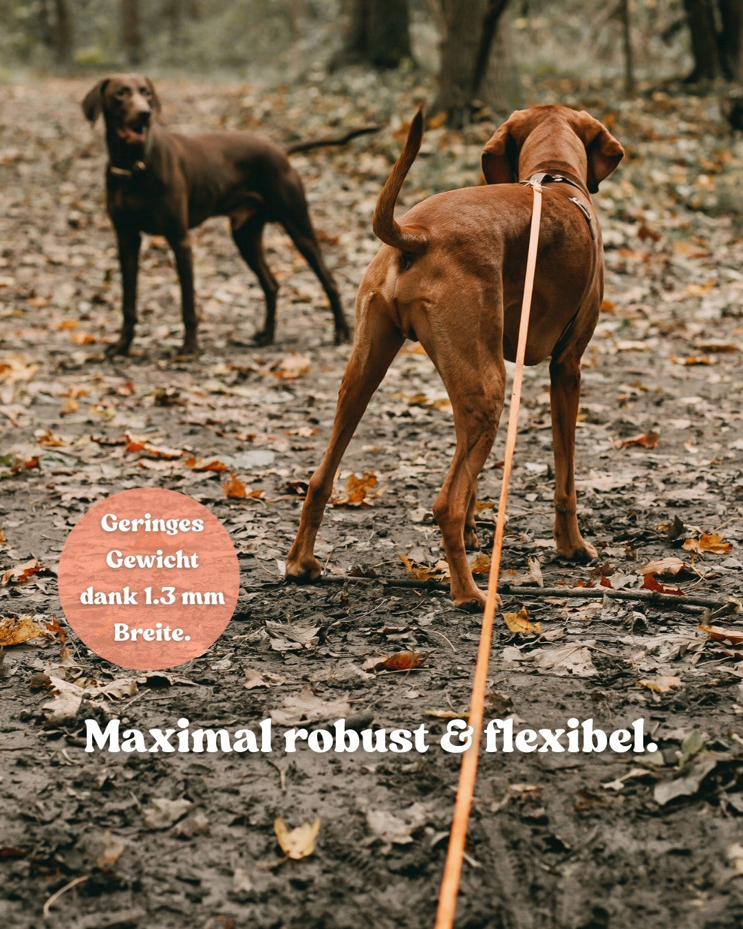 Wasserfeste Schleppleine aus Biothane