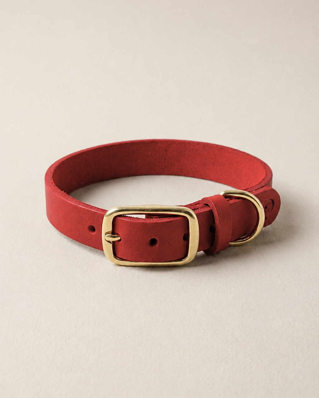 Stylisches, schmales Hundehalsband in deiner Lieblingsfarbe