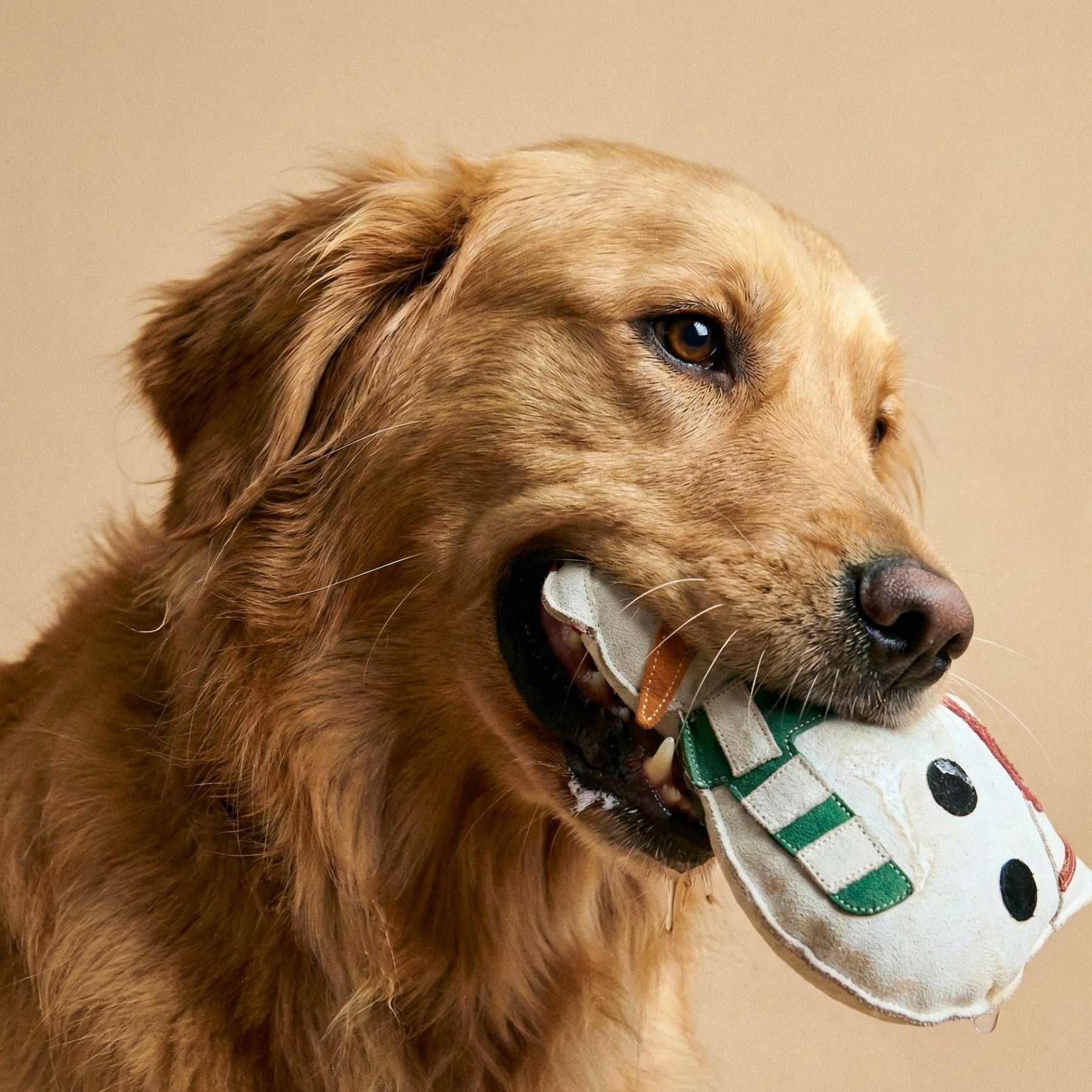 Hundespielzeug 'Schneemann Nils' aus Wildleder