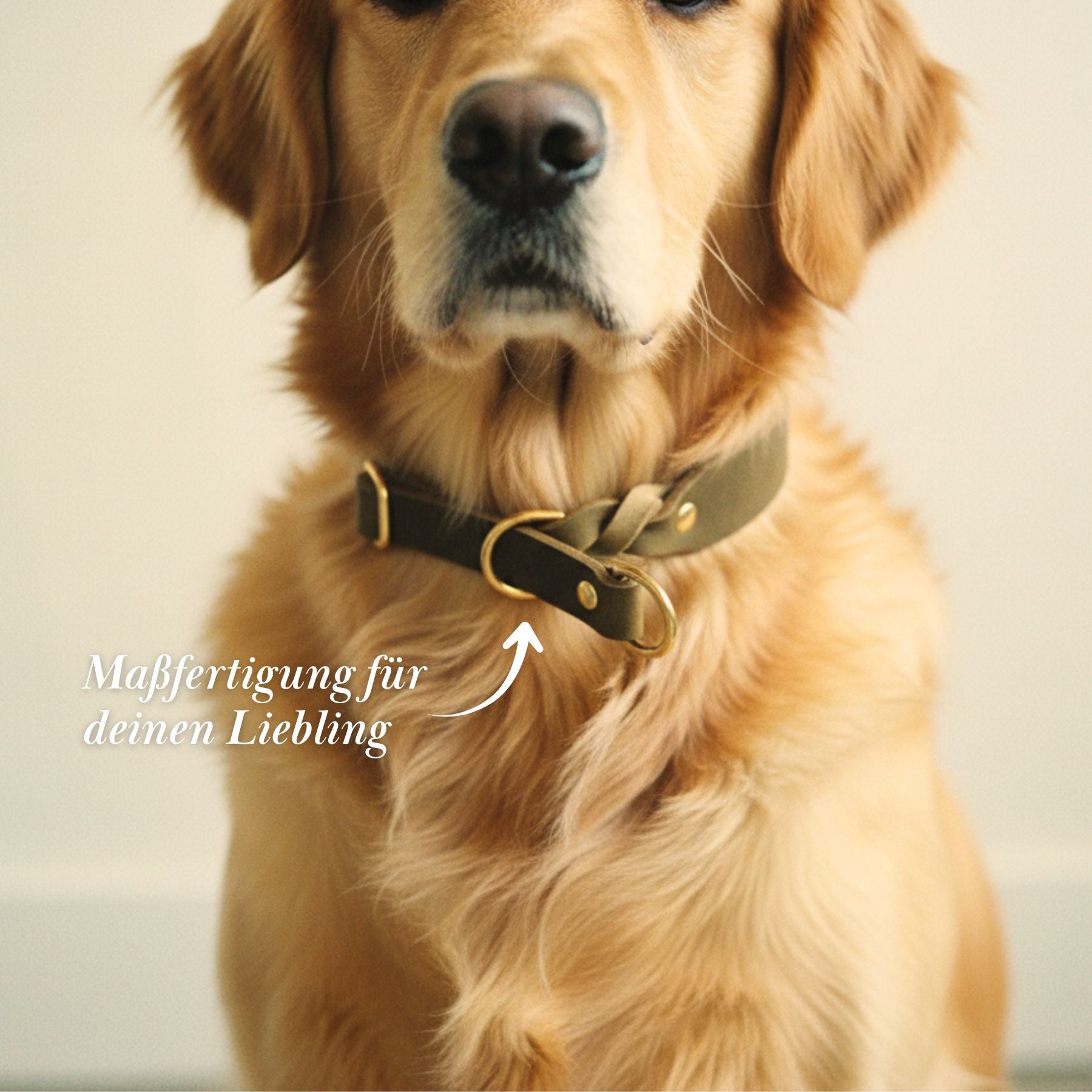 Zugstopp-Halsband aus Fettleder 'Olive'