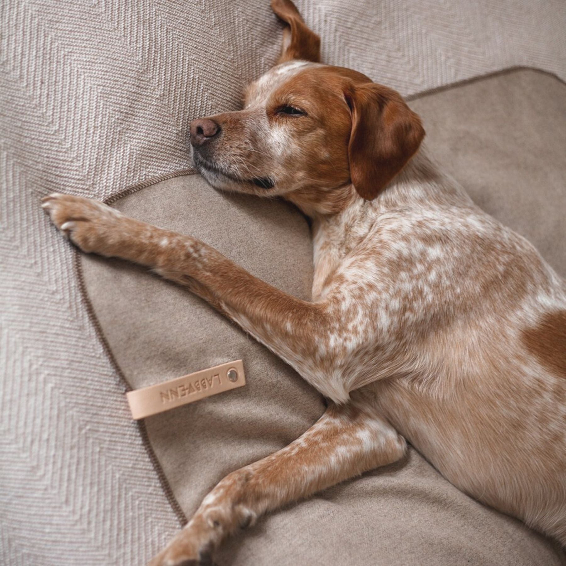 Dieses Bild zeigt eine Hundedecke aus Wolle. Sie hat die Größe von 100x70cm und ist in zwei Farben bei PAWSOME Hundezubehör erhältlich. Dies ist die Farbe Light Brown.