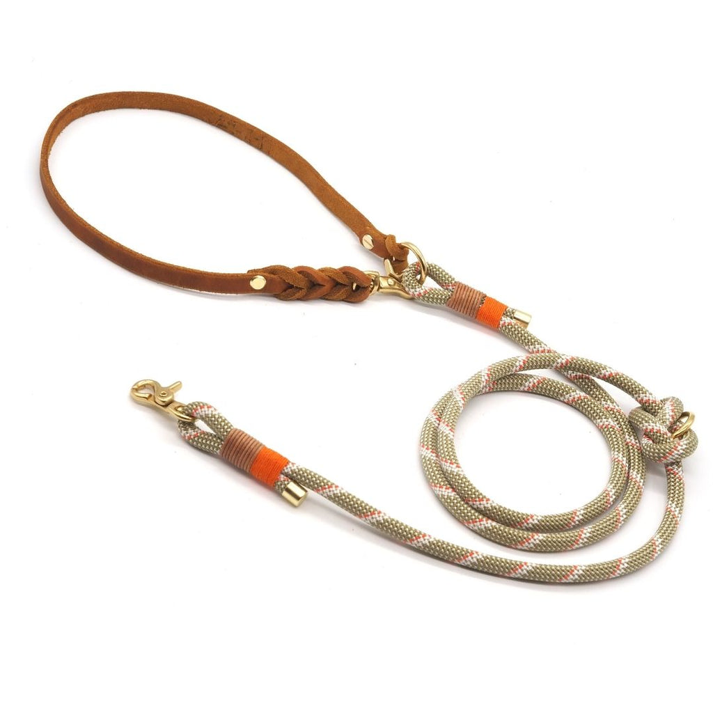 Hundeleine fr kleine Hunde aus Leder & Biothane - auf Ma | PAWSOME