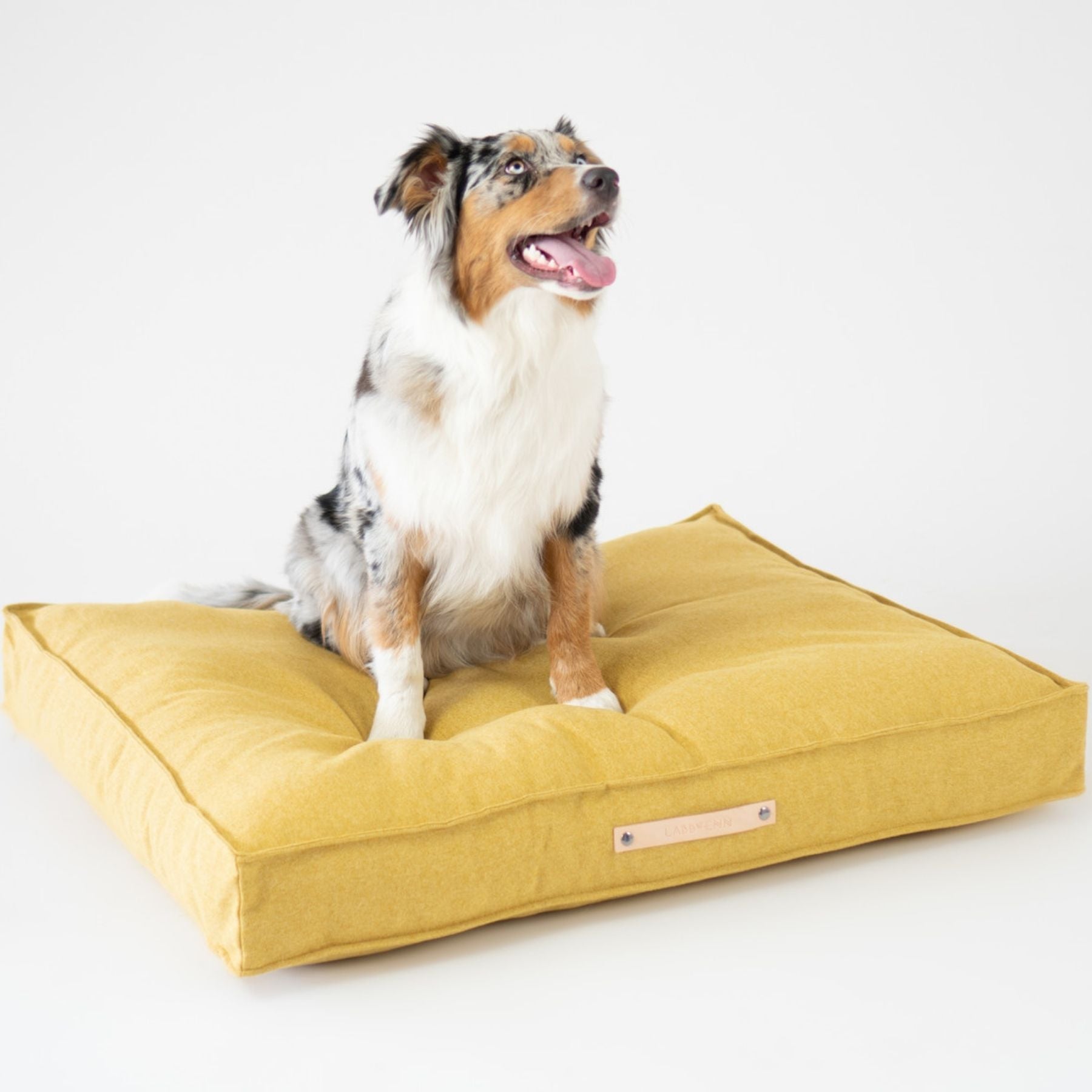 Dieses Bild zeigt ein Hundekissen im nordischen Stil von LABBVENN. Es heißt Møvik und ist in drei Farben und drei Größen erhältlich. Das Bett wird für deinen Hund in sorgfältiger Handarbeit hergestellt, ist nachhaltig und sehr luxoriös. Dies ist die Farbe Honey-Gelb.