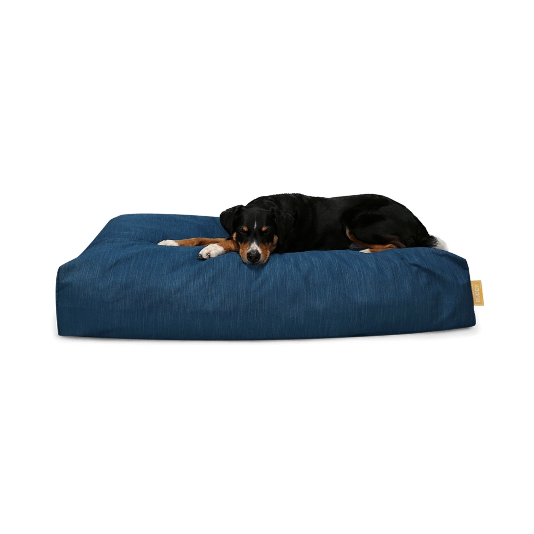 Nachhaltiges Hundebett von BUDDY PETS bei PAWSOME Hundezubehör erhältlich. Wir bieten dieses bequeme Bett in 4 Farben & 3 Größen an. Dies ist die Farbe Ocean Blue.