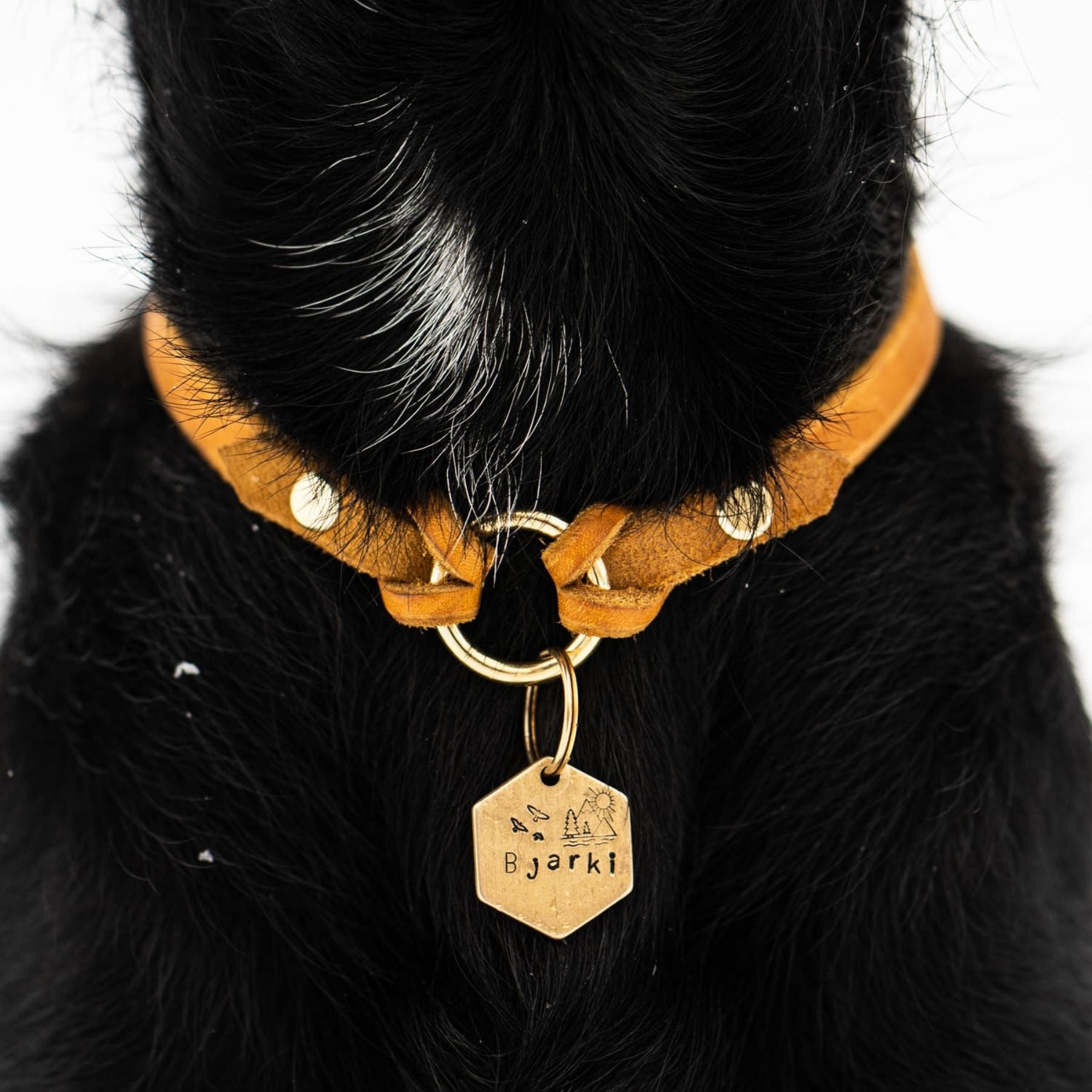 Markenhalsband für Hundemarken, dünnes Halsband für Hundemarken mit Handynummer und Namen, Ledermarkenhalsband, handgefertigt in Wien, Hundezubehör aus Österreich.
