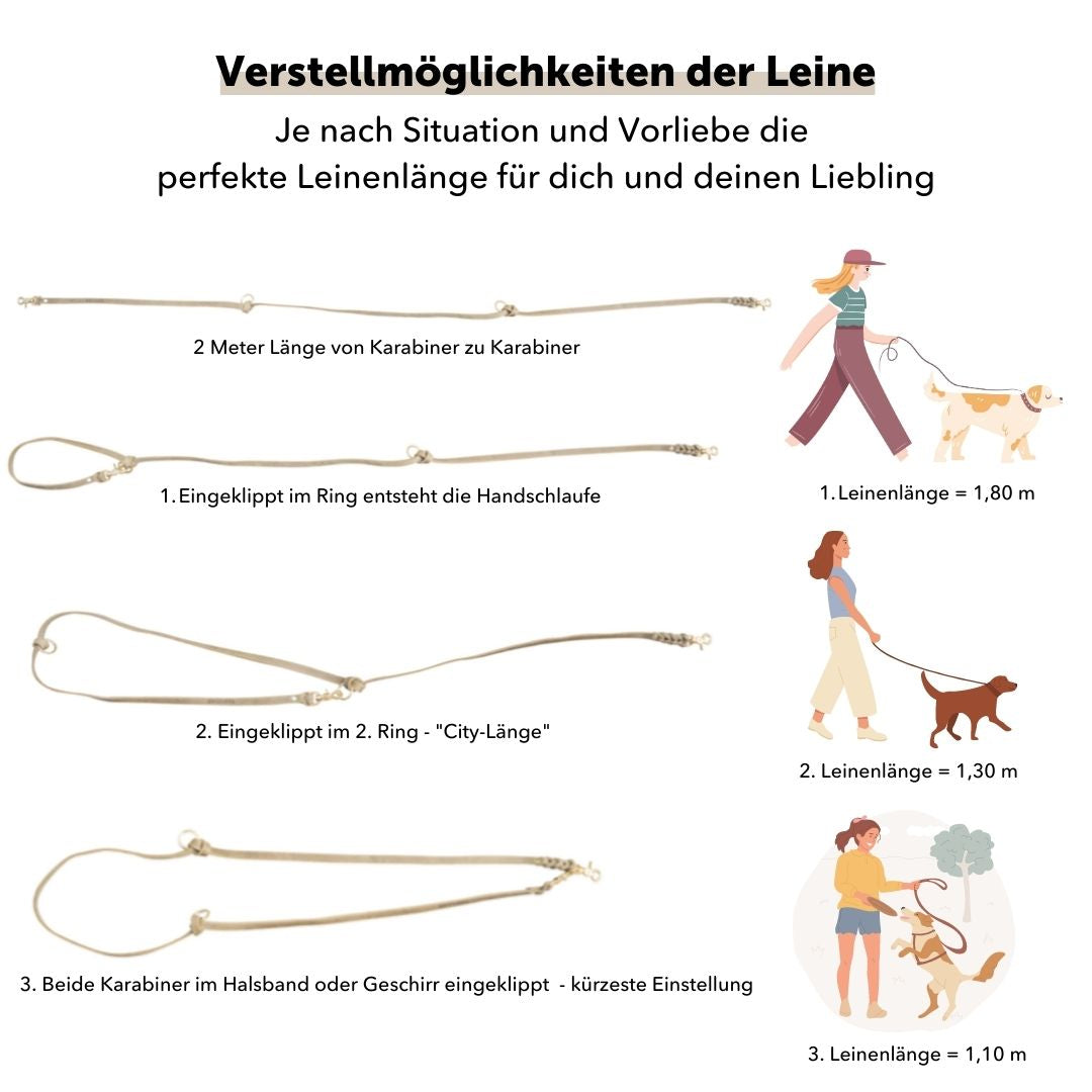 Set | Lederhalsband & Leine in Steingrau